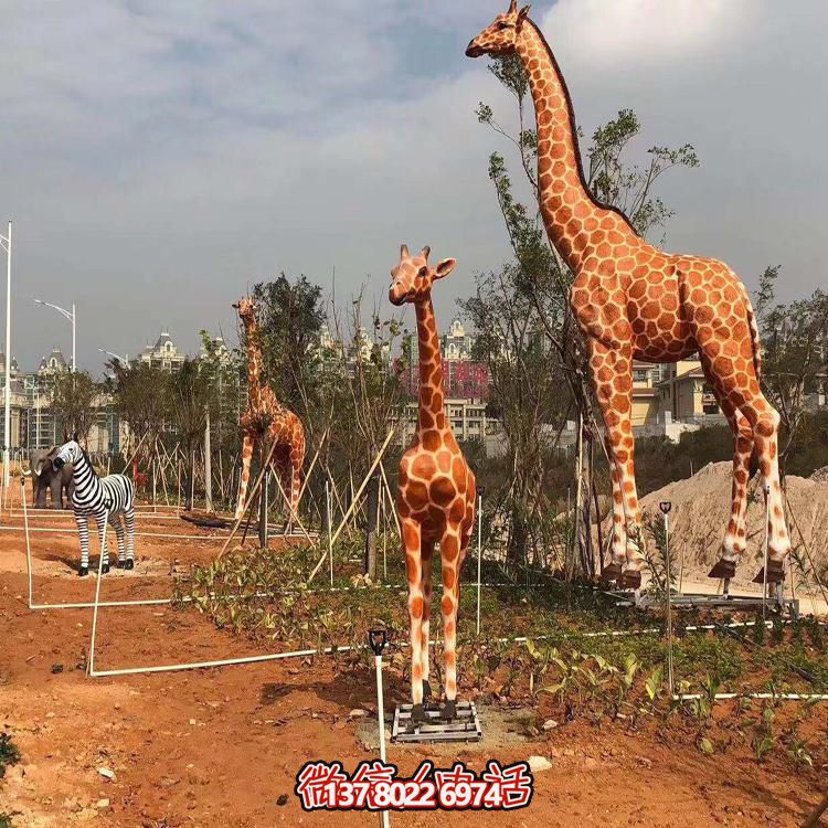 仿真長(zhǎng)頸鹿雕塑，玻璃鋼制作